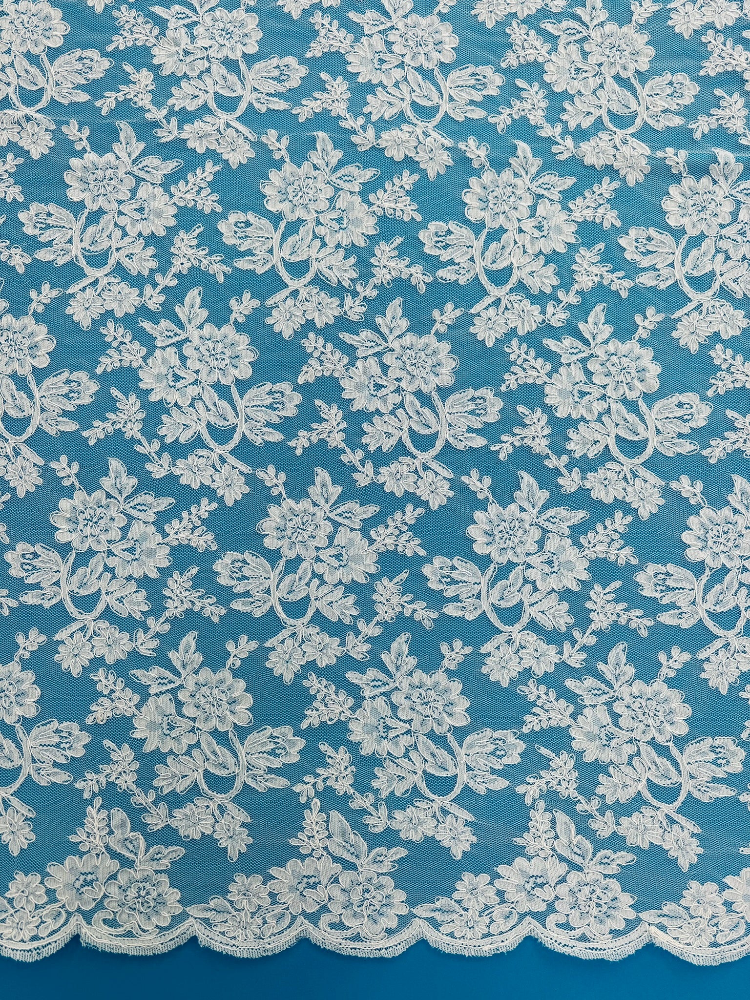 ML126 WHITE Corded Alencon Lace