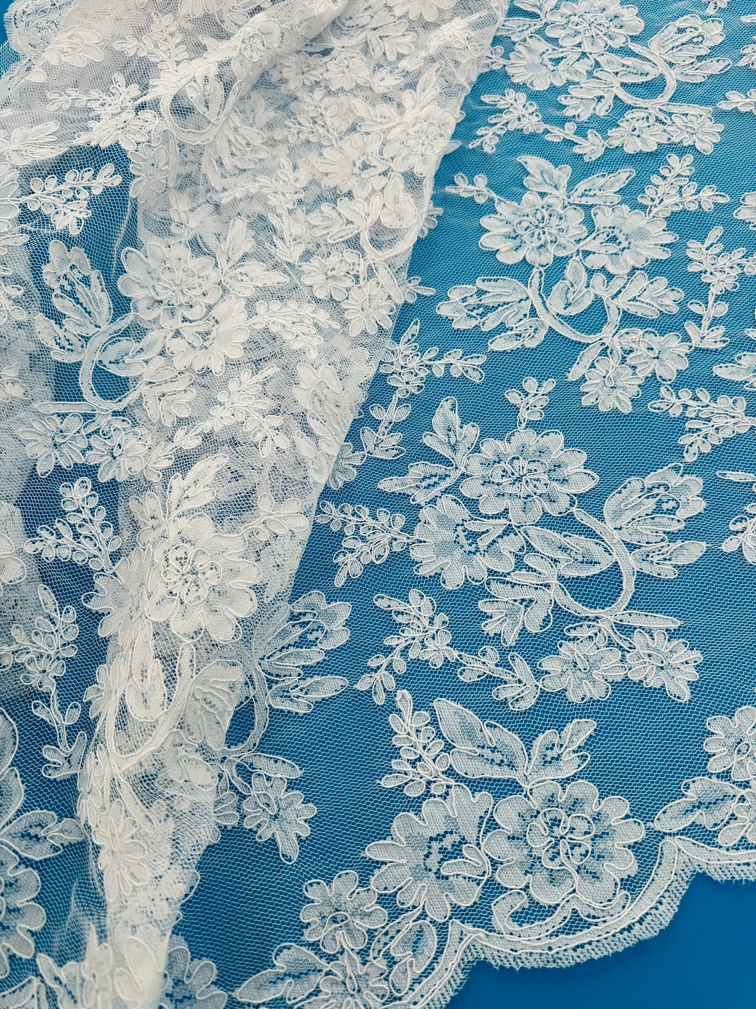 ML126 WHITE Corded Alencon Lace