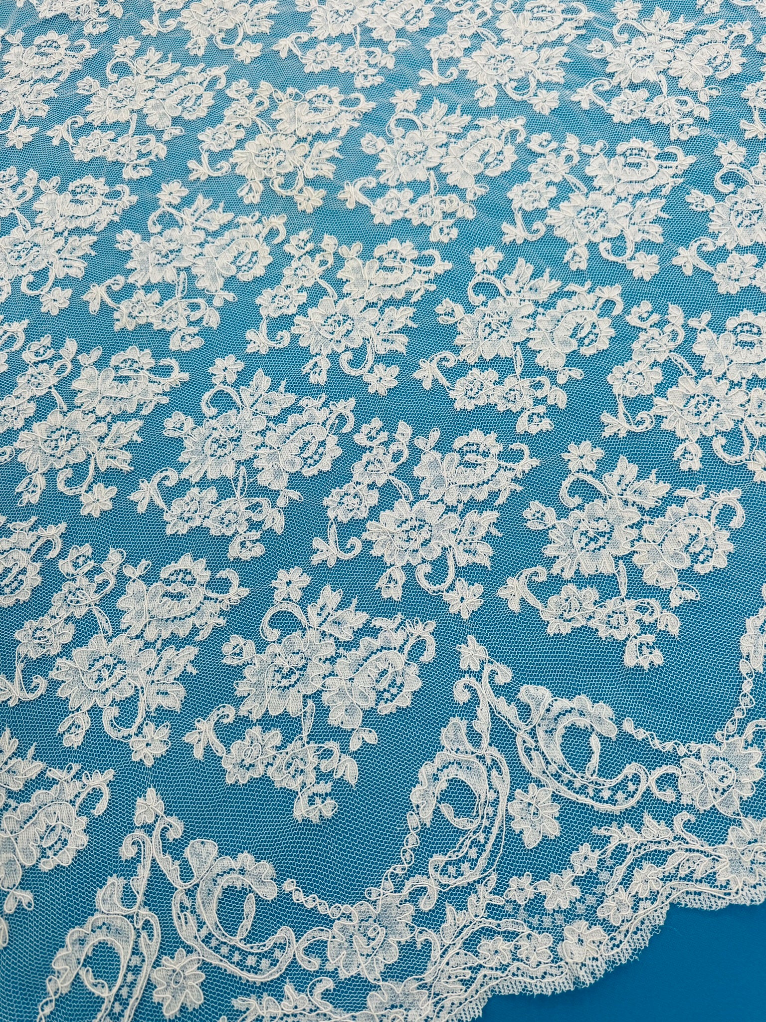 ML129 WHITE Corded Alencon Lace