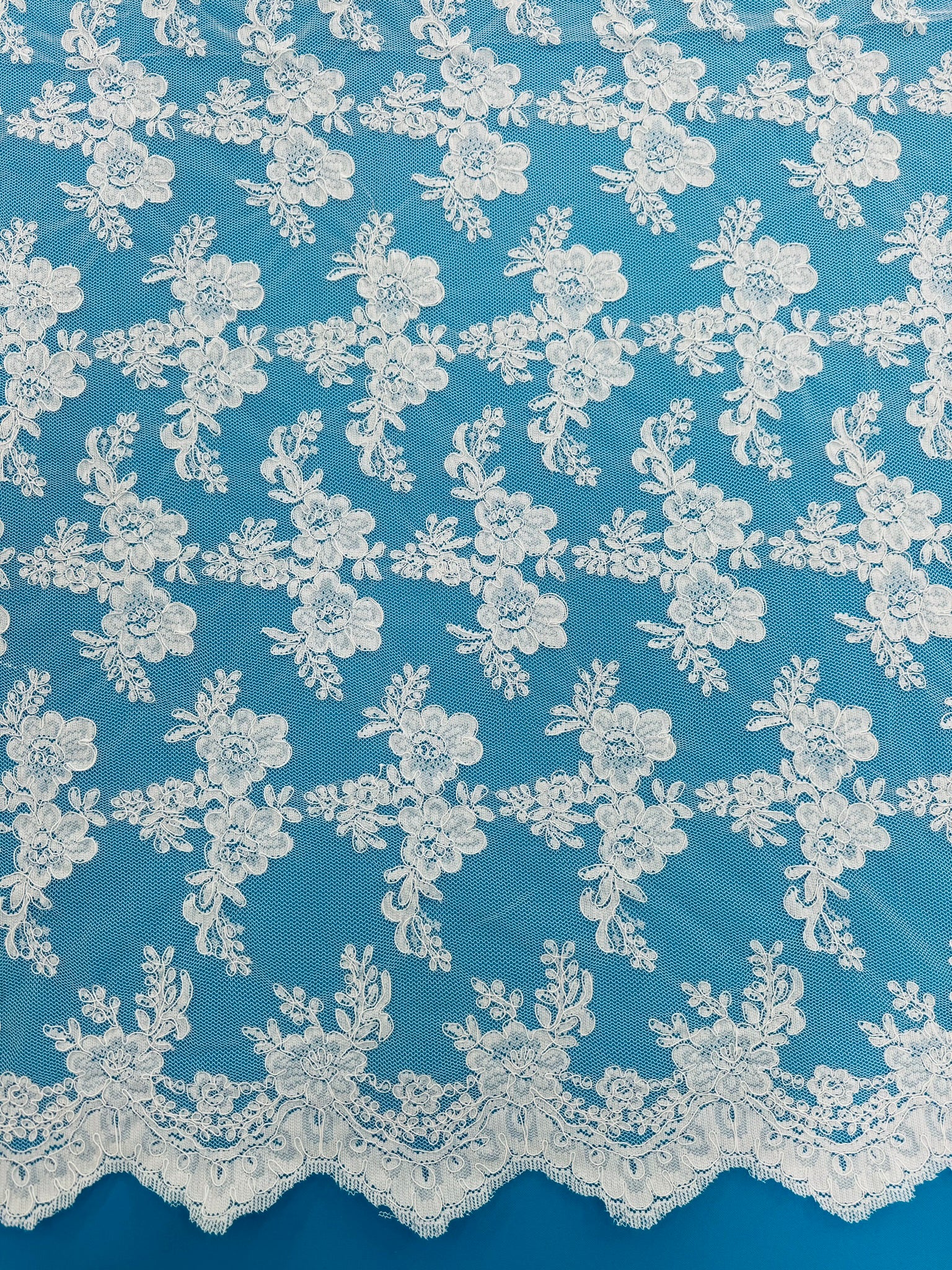 ML127 WHITE Corded Alencon Lace