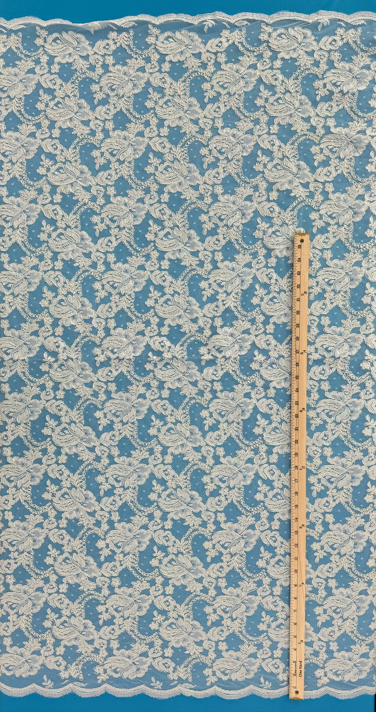 ML137 IVORY Corded Alencon Lace