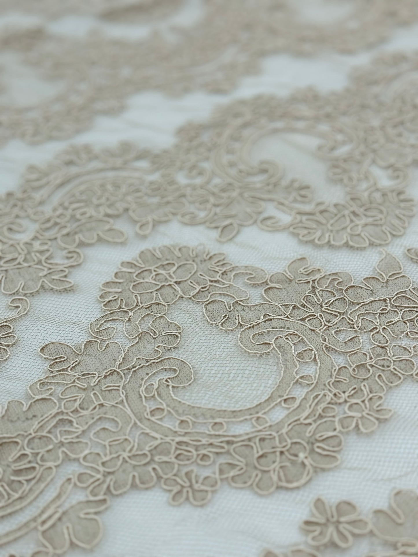 ML133 TAUPE Corded Alencon Lace Trim